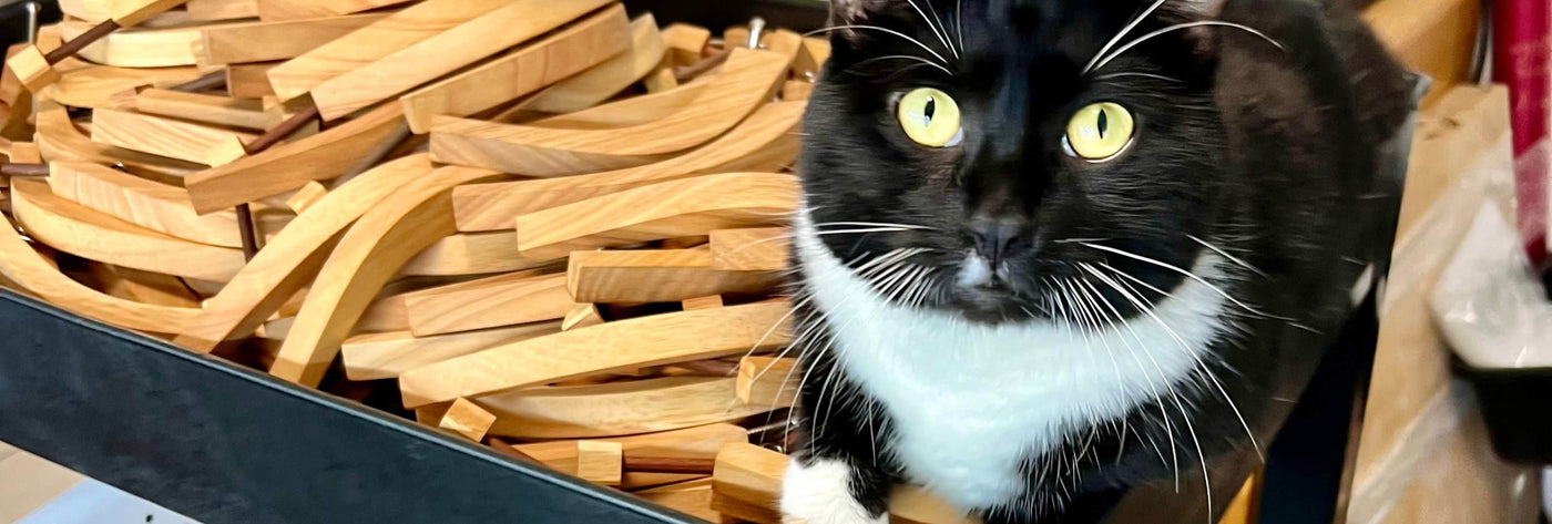 Fred the Creative Crafthouse Cat is waiting by the phones for your puzzle and game questions.