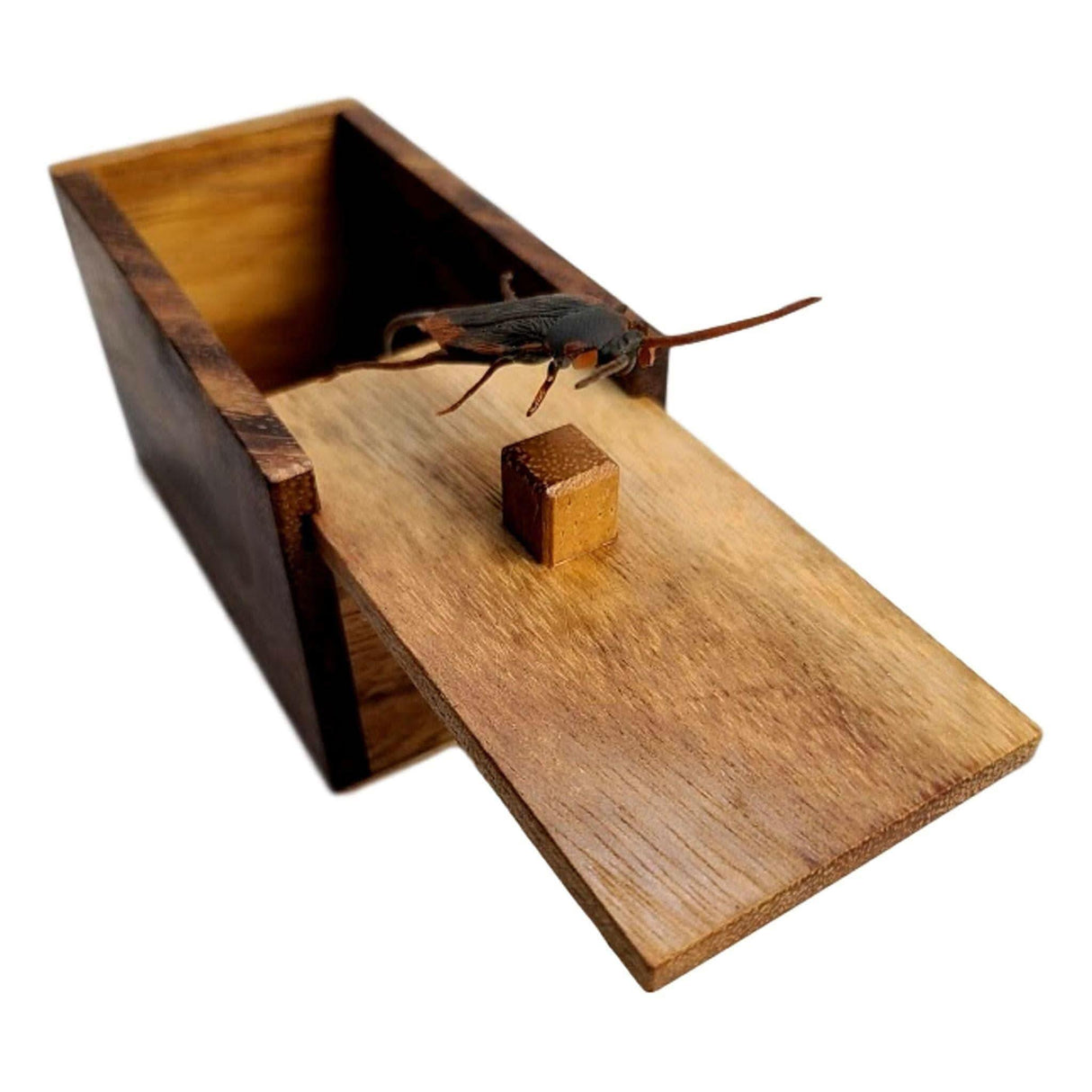 Halloween Gift - The Bug Box - Jump Scare and Prank Wood Box - Spider, Lizard, and Cockroach Version Available - Funny Joke and Gag Gifts - Creative Crafthouse