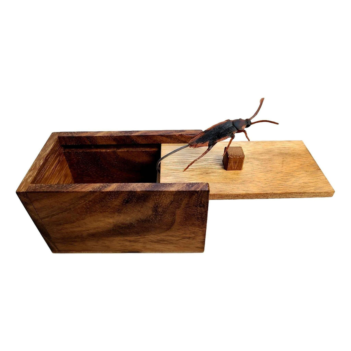 Halloween Gift - The Bug Box - Jump Scare and Prank Wood Box - Spider, Lizard, and Cockroach Version Available - Funny Joke and Gag Gifts - Creative Crafthouse
