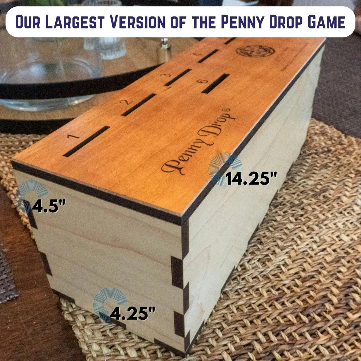 Penny Drop Game | Giant Sized Poker Chip Edition - Fun Family or Bar Game – can be personalized - Creative Crafthouse
