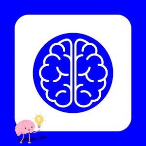 Focus and Memory Puzzles