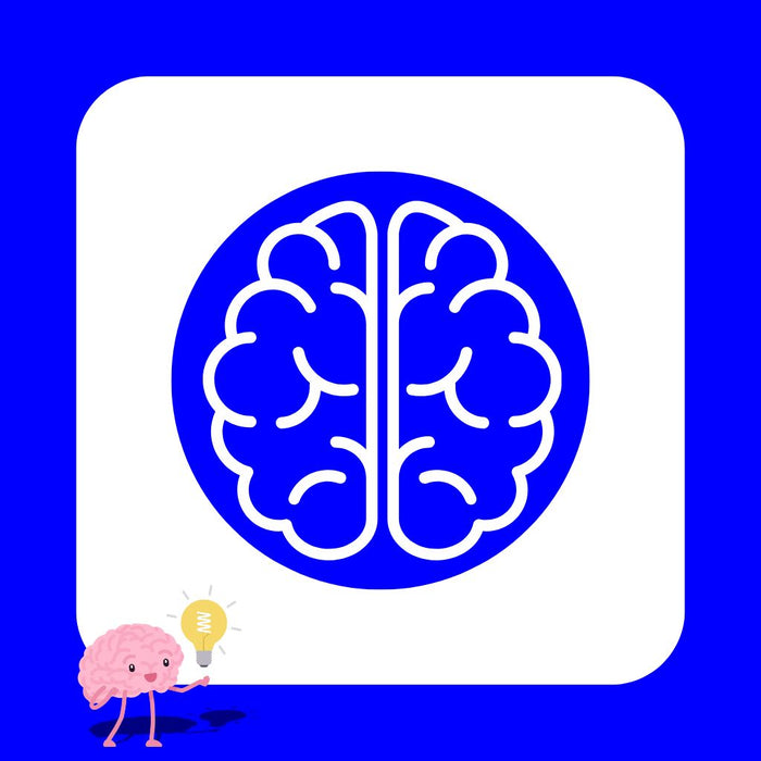 Shop puzzles and games which improve memory and mental focus.