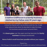 Dewey's Dilemma Wood Puzzle | The Perfect Desktop Game - Creative Crafthouse