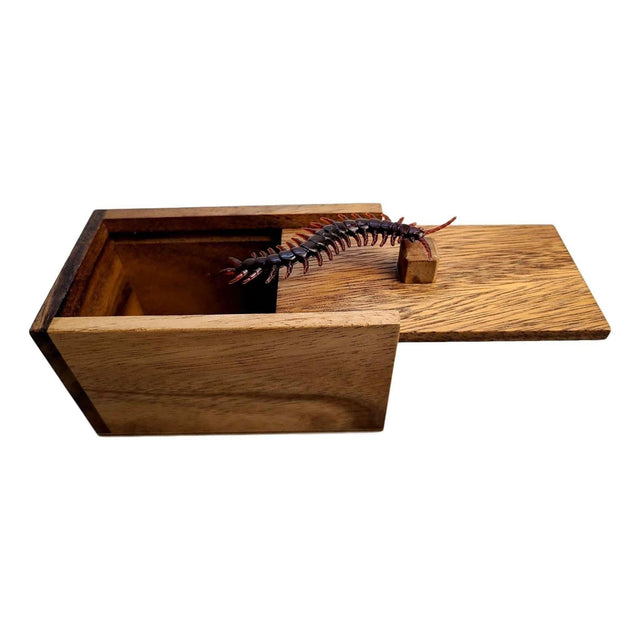 Halloween Gift - The Bug Box - Jump Scare and Prank Wood Box - Spider, Lizard, and Cockroach Version Available - Funny Joke and Gag Gifts - Creative Crafthouse