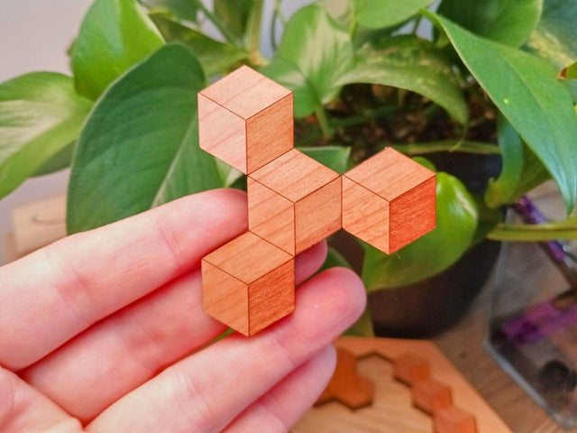 Wooden Puzzle Gift for Kids - Hexagon 10 Wooden Brain Teaser - 20 Different Solutions & 10 Different Puzzle Pieces | Creative Crafthouse - Creative Crafthouse