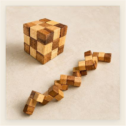 Snake Fidget Puzzle | Wooden Brain Teaser for Ages 10+