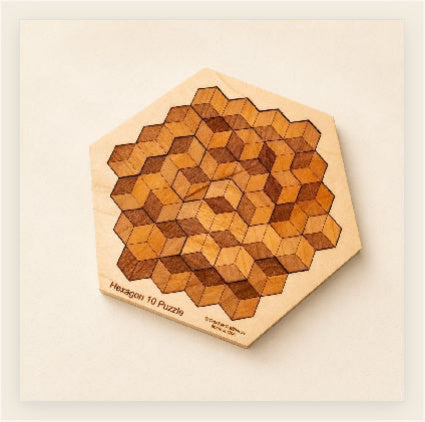 Hexagon 10 Wood Puzzle | 10 Piece Wooden Brain Teaser