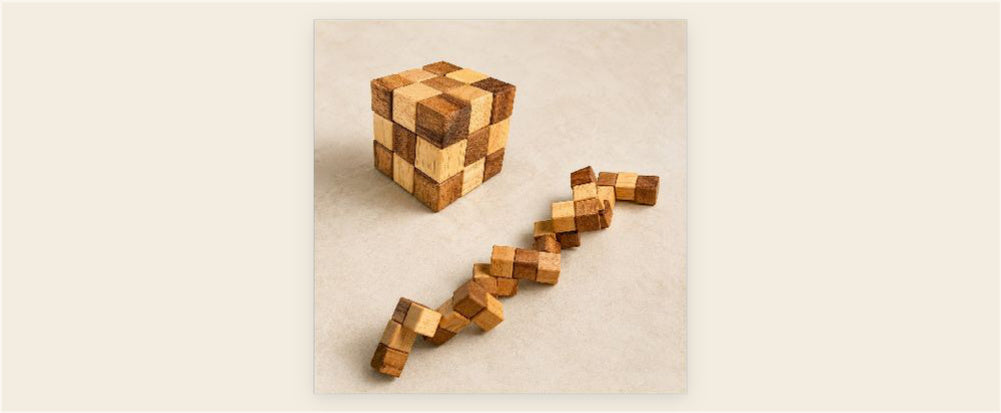 Snake Fidget Puzzle | Wooden Brain Teaser for Ages 10+